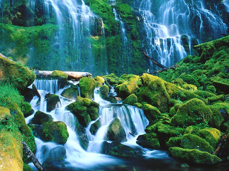 Proxy Falls, Willamette National Forest, Oregon.jpg