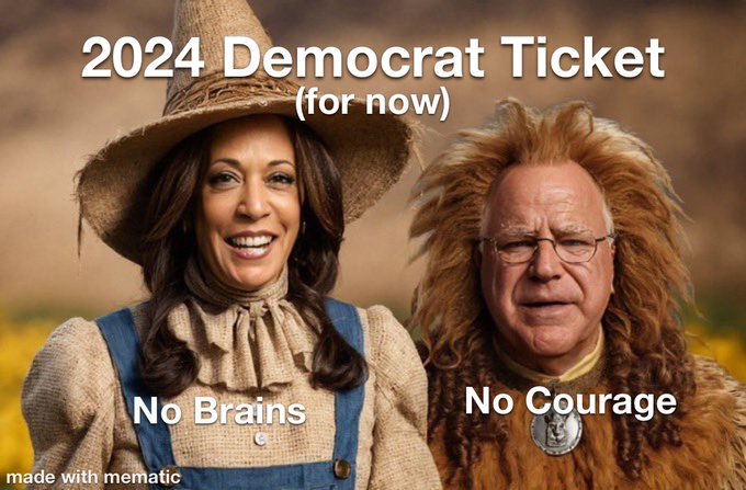 no brains no courage.jpeg