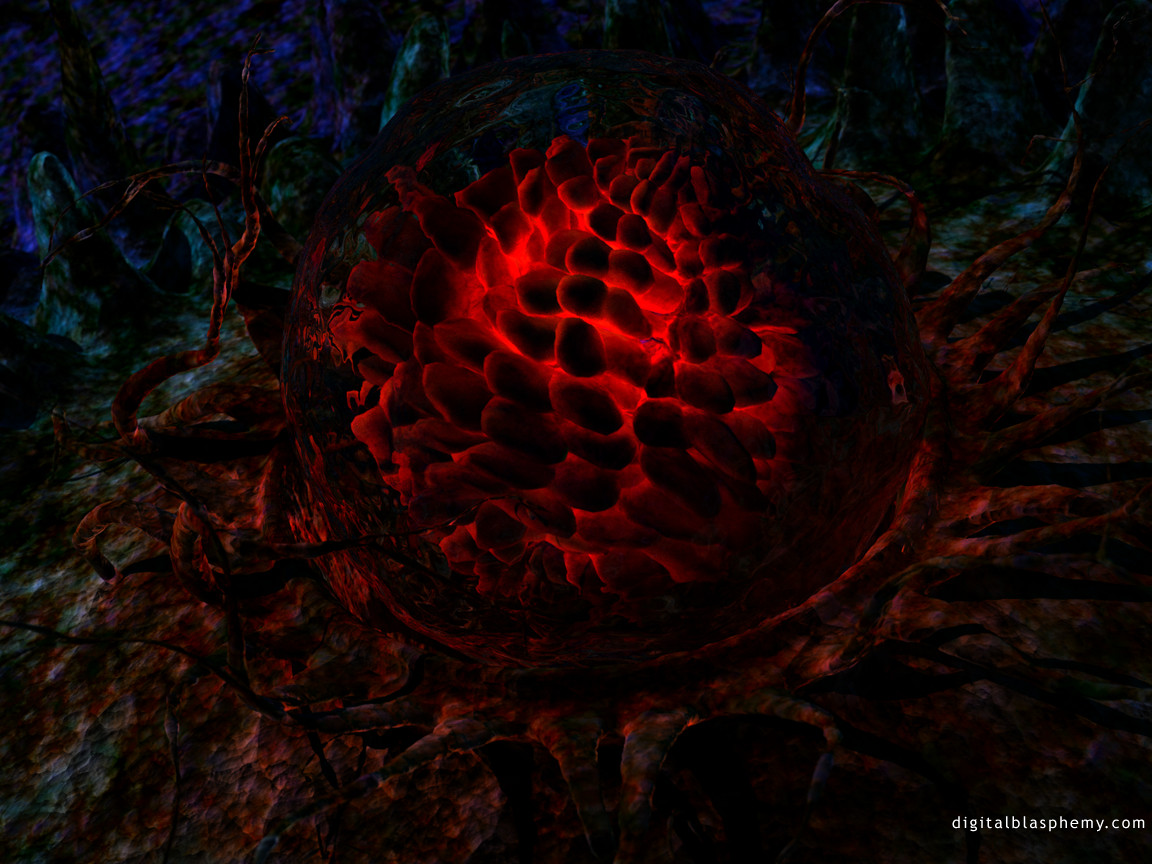 ovum.jpg