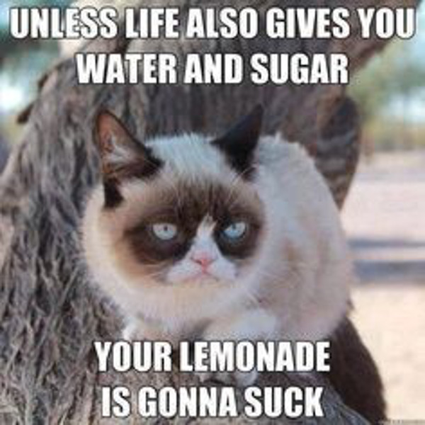 grumpy-cat-part9_e.jpg