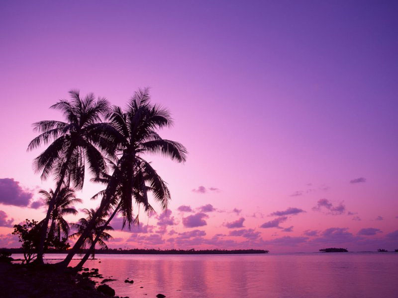 Mike Beach2 - Wallpaper.jpg