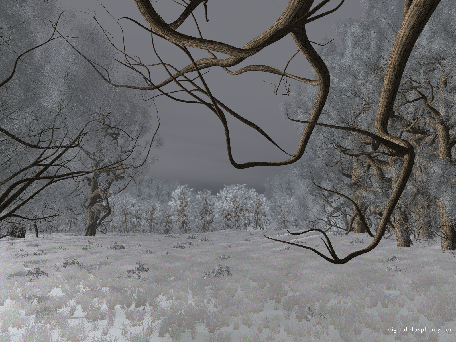 earlyfrost1600.jpg