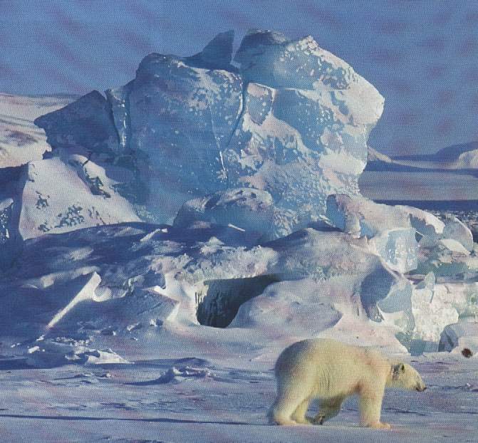 Image-08.jpg
