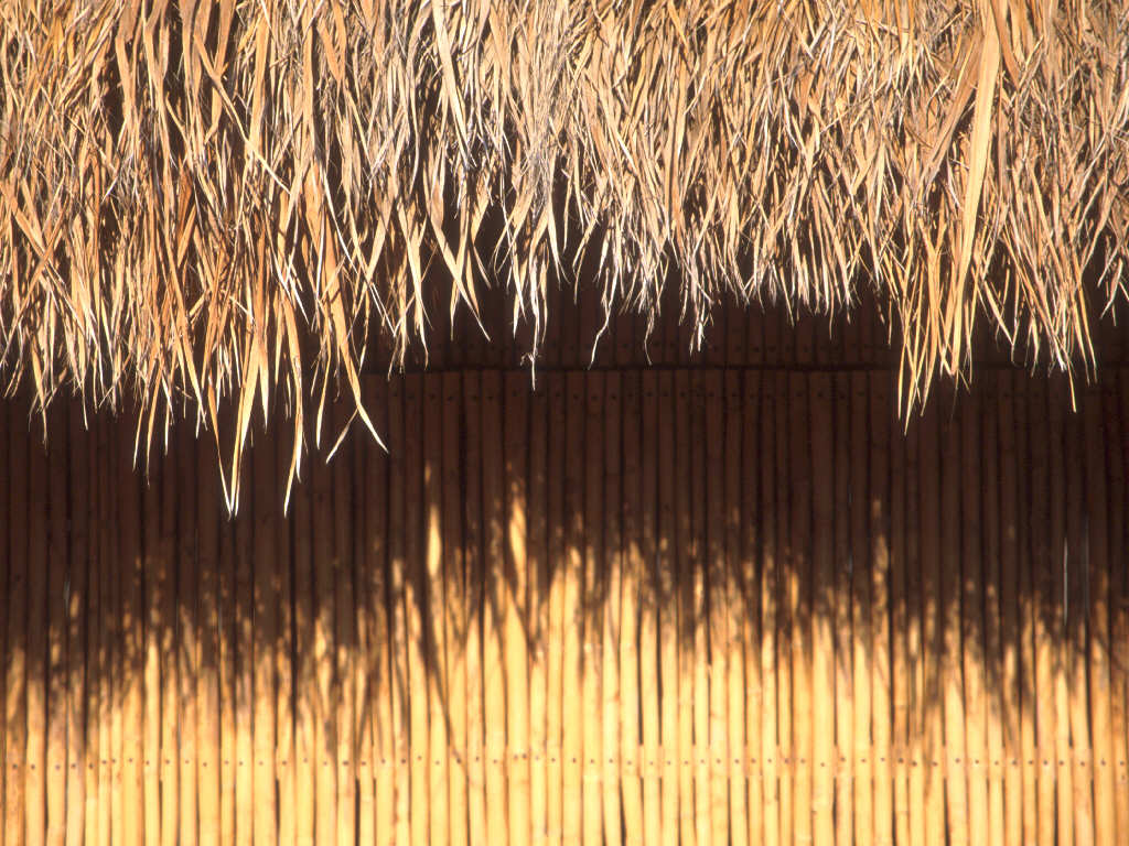 Mike Levin_ThatchedRoof1024.jpg