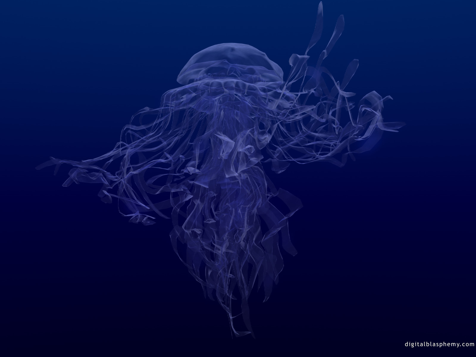 6jelly1600.jpg