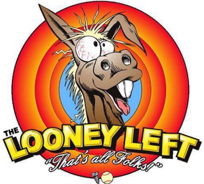 looney left.jpeg