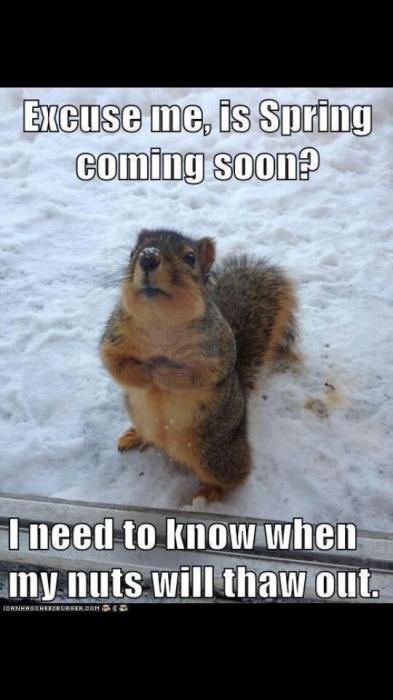 frozen nuts.jpg
