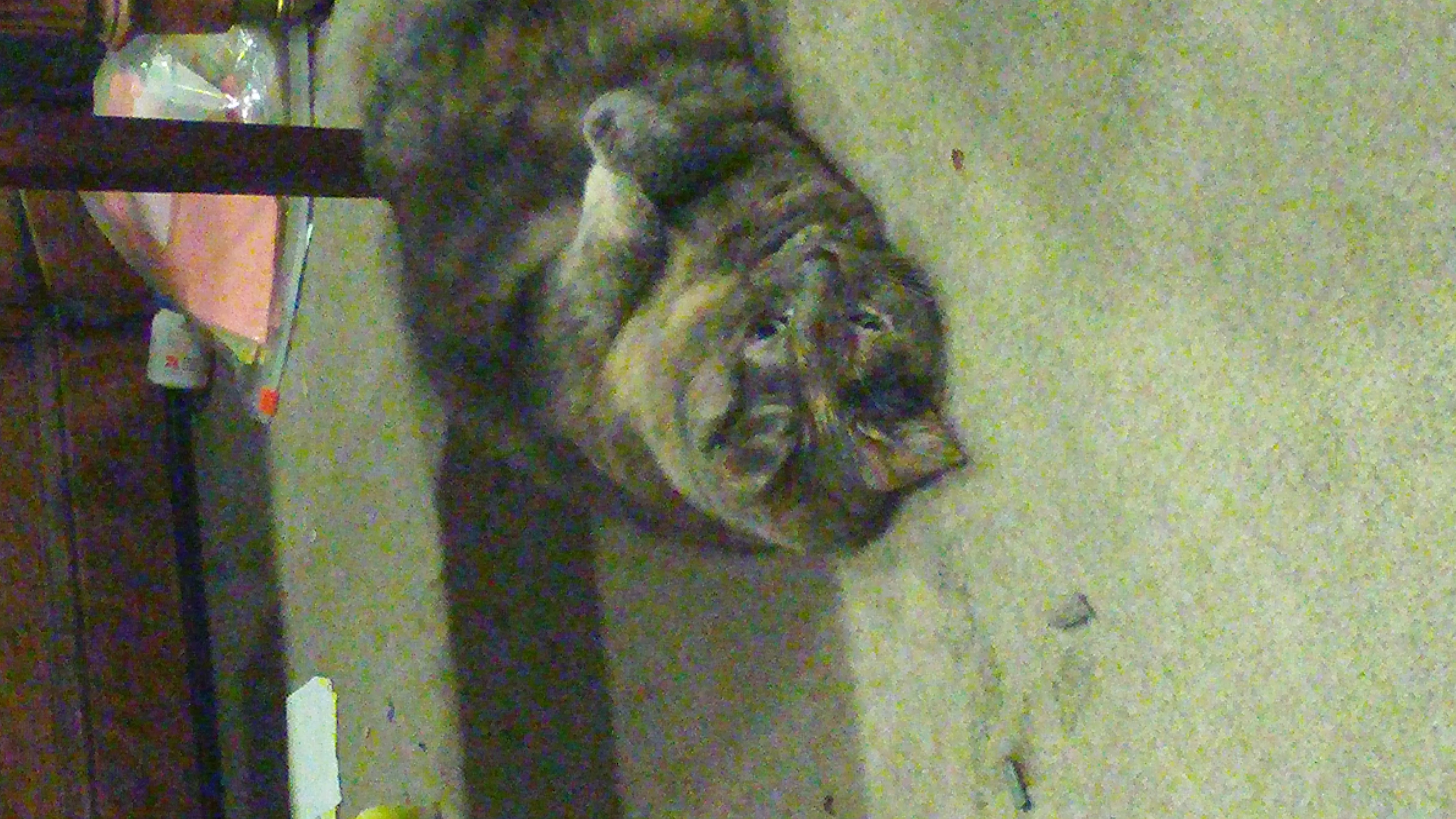 20150219_195443.jpg