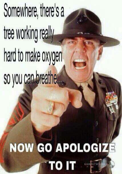Gunny R Lee Ermey.jpg