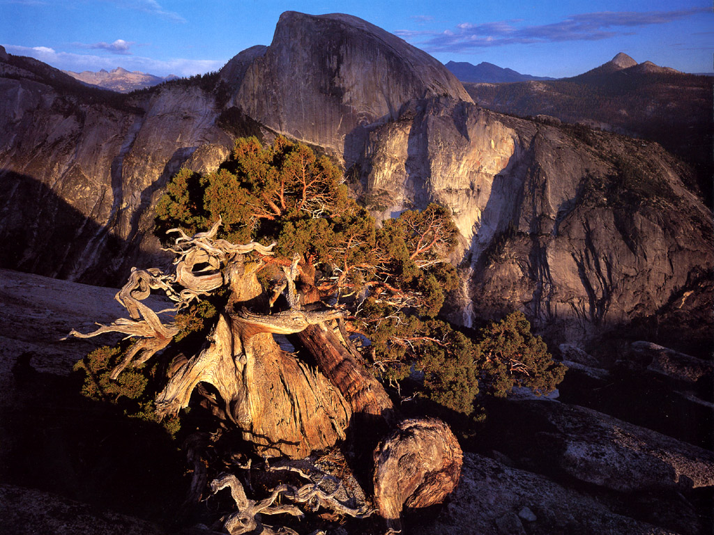 JLM-California-Yosemite National Park-Half Dome.jpg