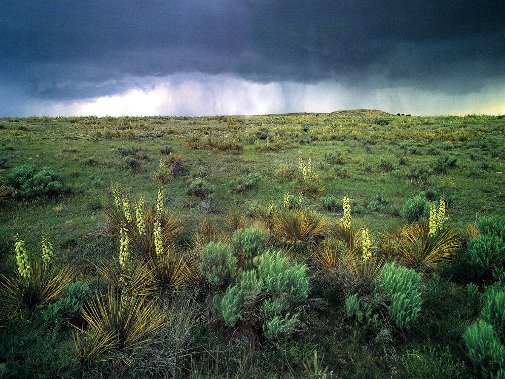 JLM-Colorado-Comanche National Grasslands.jpg