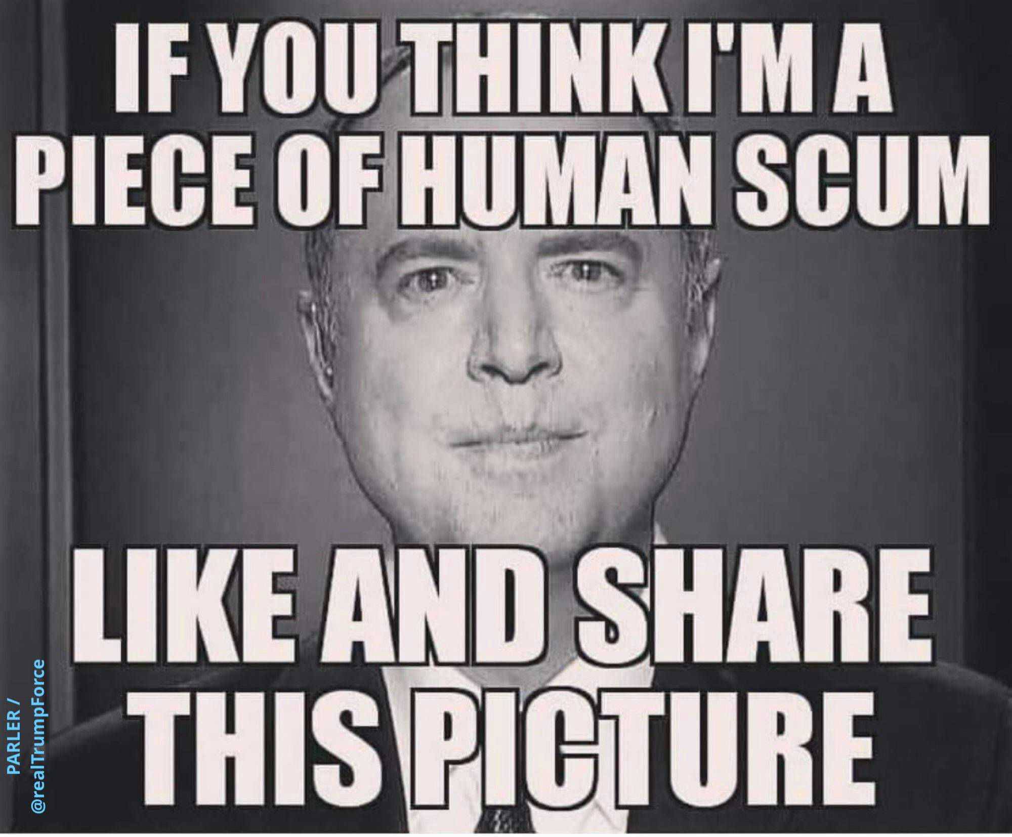 schiff scum.jpeg