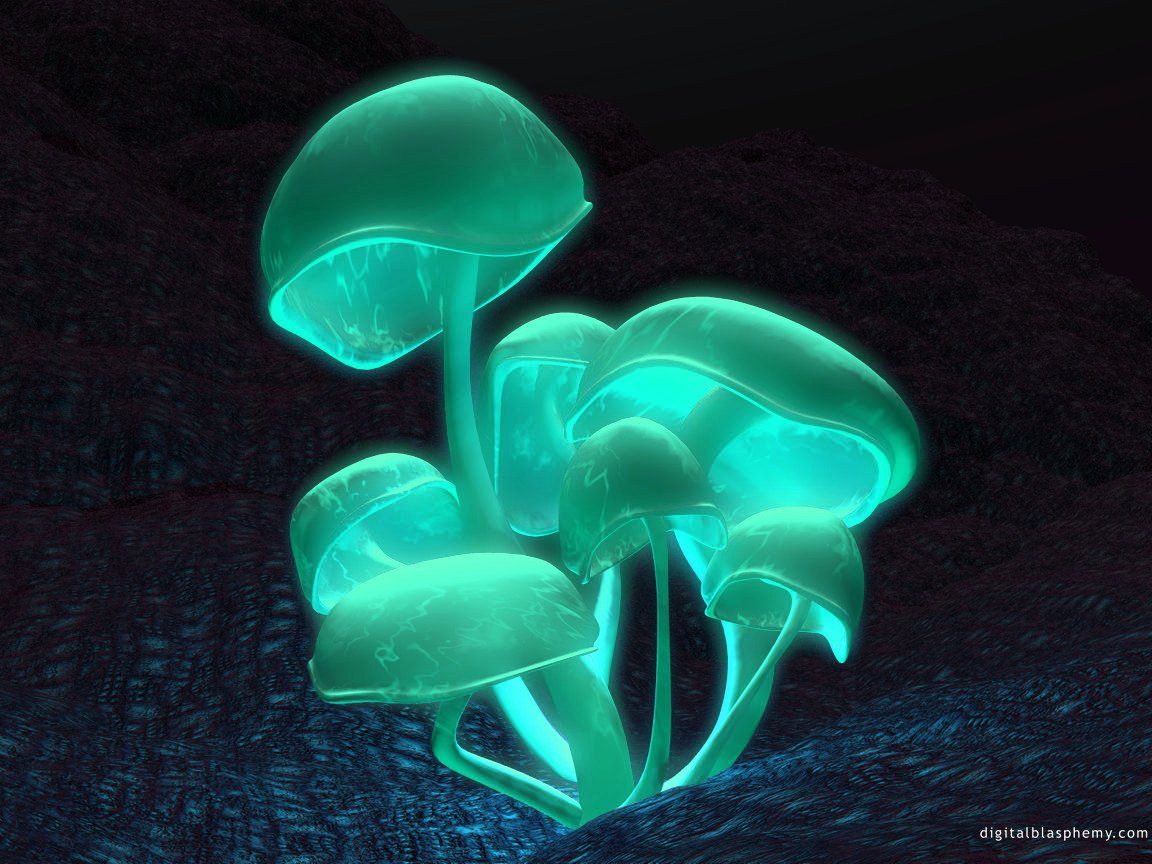 lightpurplemushroom 21.jpg