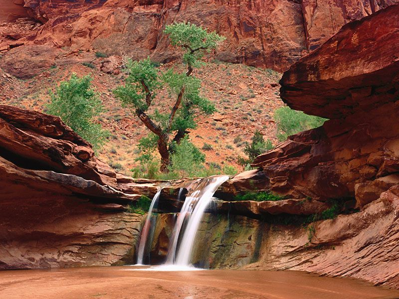 Coyote Gulch, Escalante River Canyons, Utah.jpg