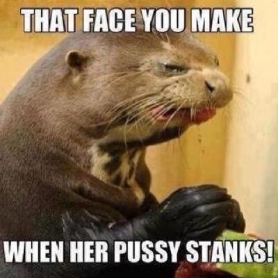 face_pussy.jpg