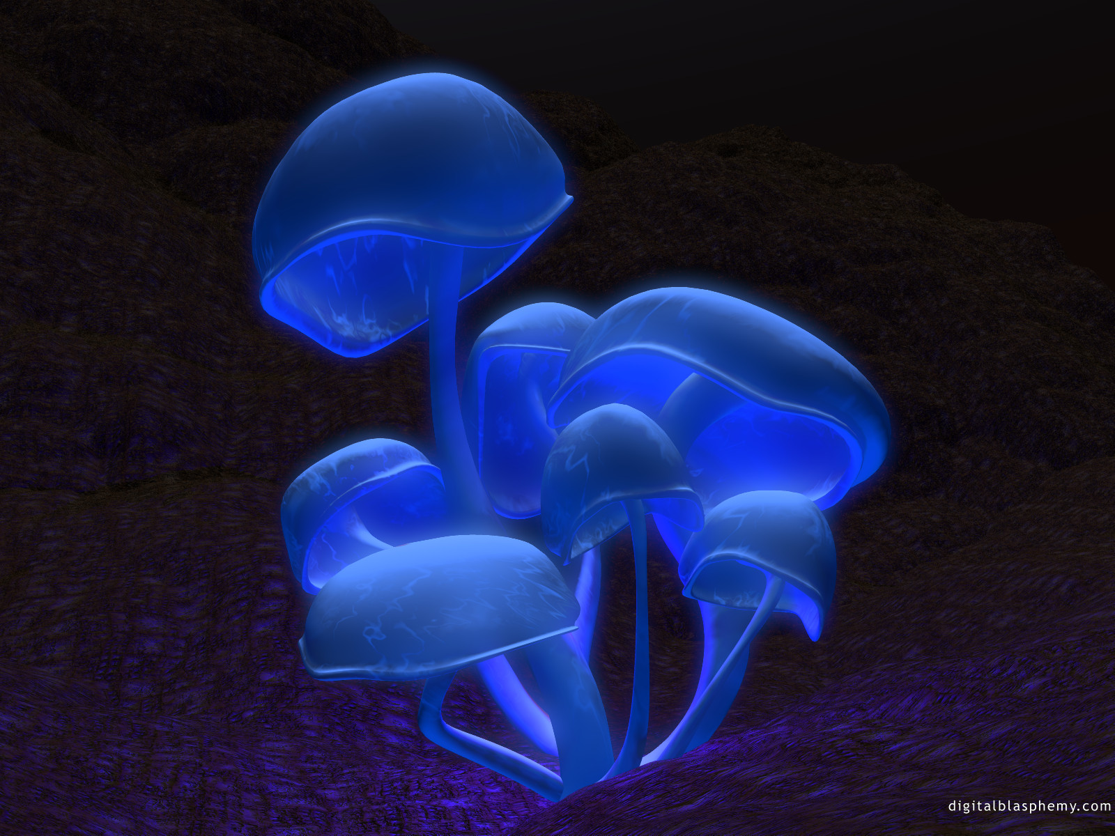 fluorescence1600.jpg