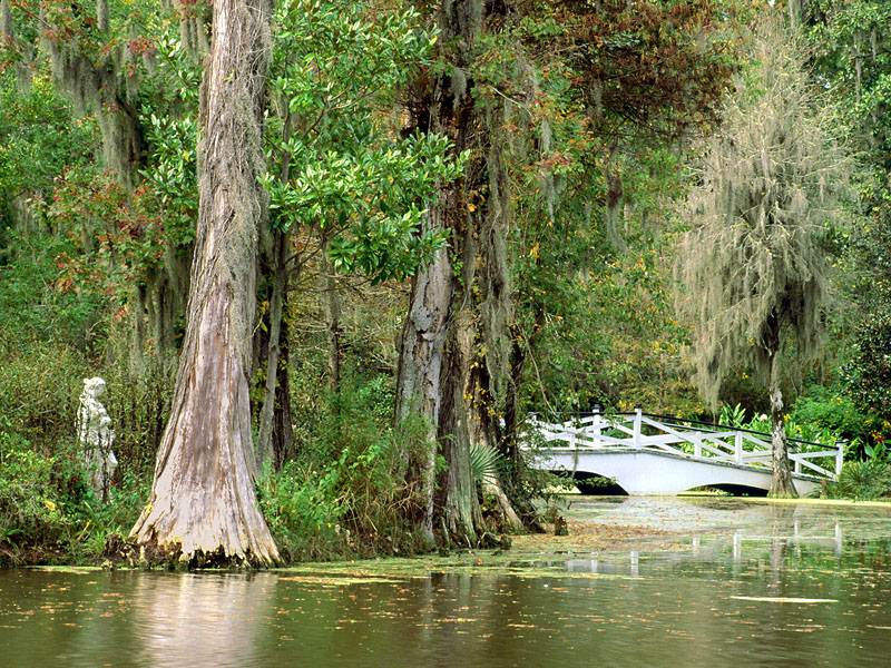 Magnolia Plantation Gardens, Charleston, South Carolina.jpg