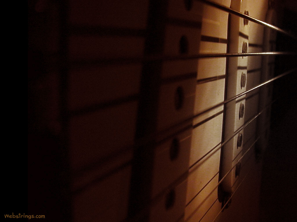 fender-strings-1024x768.jpg