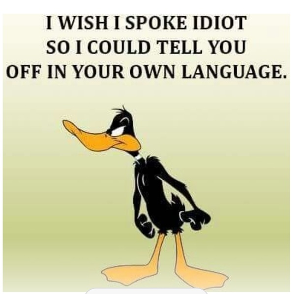I wish I spoke idiot.jpeg