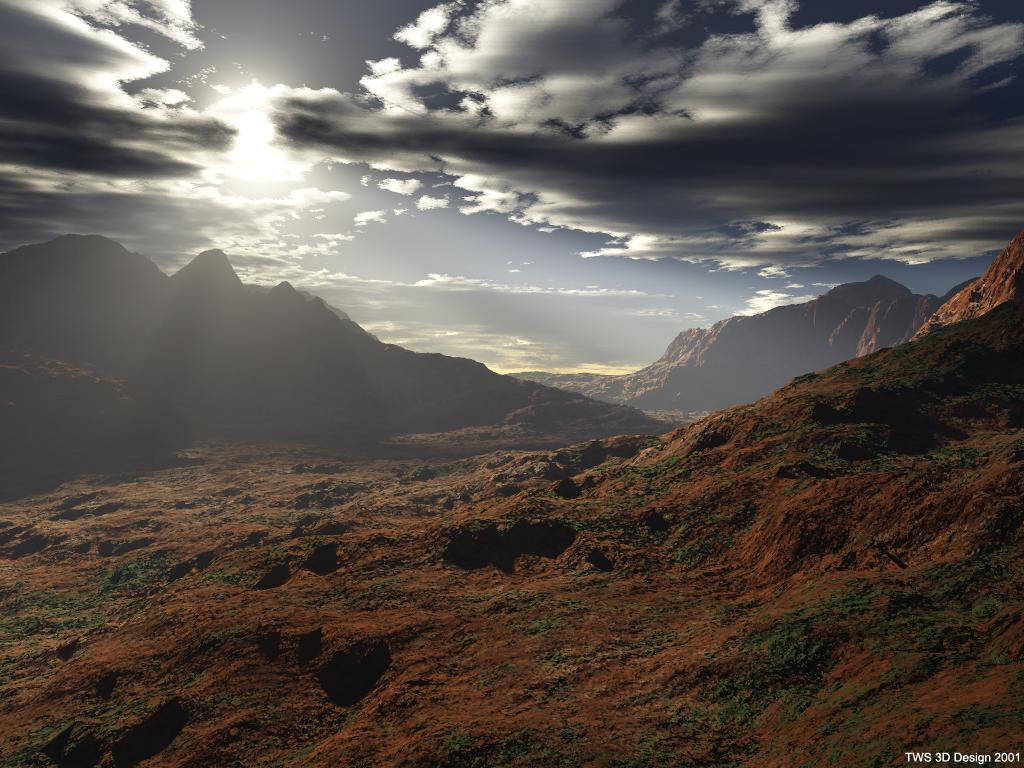 Sahara_after_rain.jpg