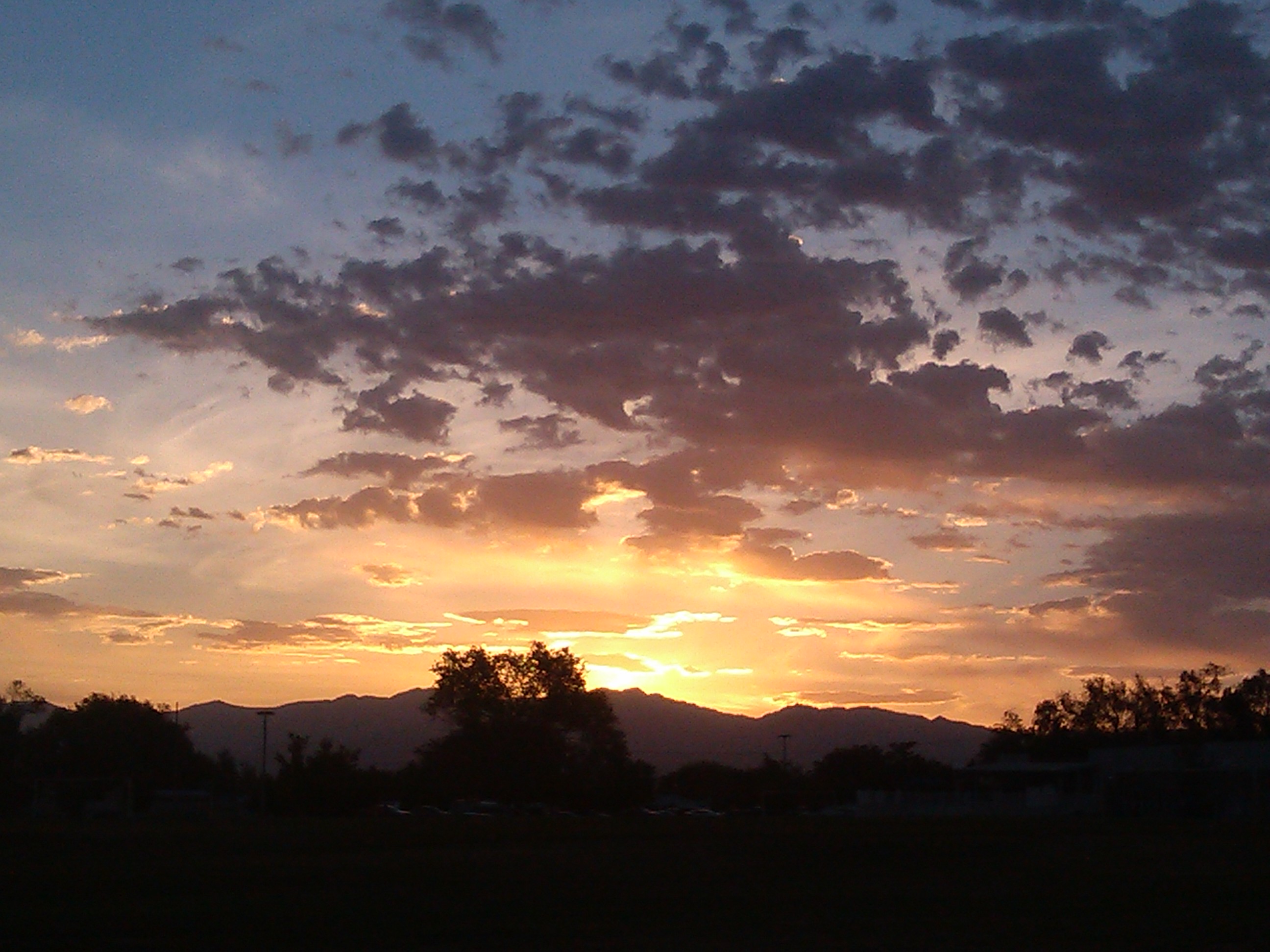 IMG_20130610_060240.jpg