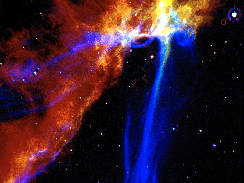 Cygnus Loop, Constellation in Northern Hemisphere.jpg
