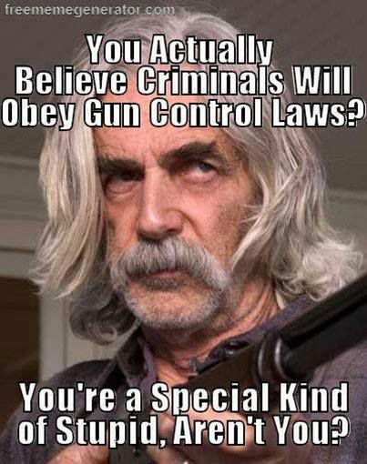 gun control stupidity.jpg