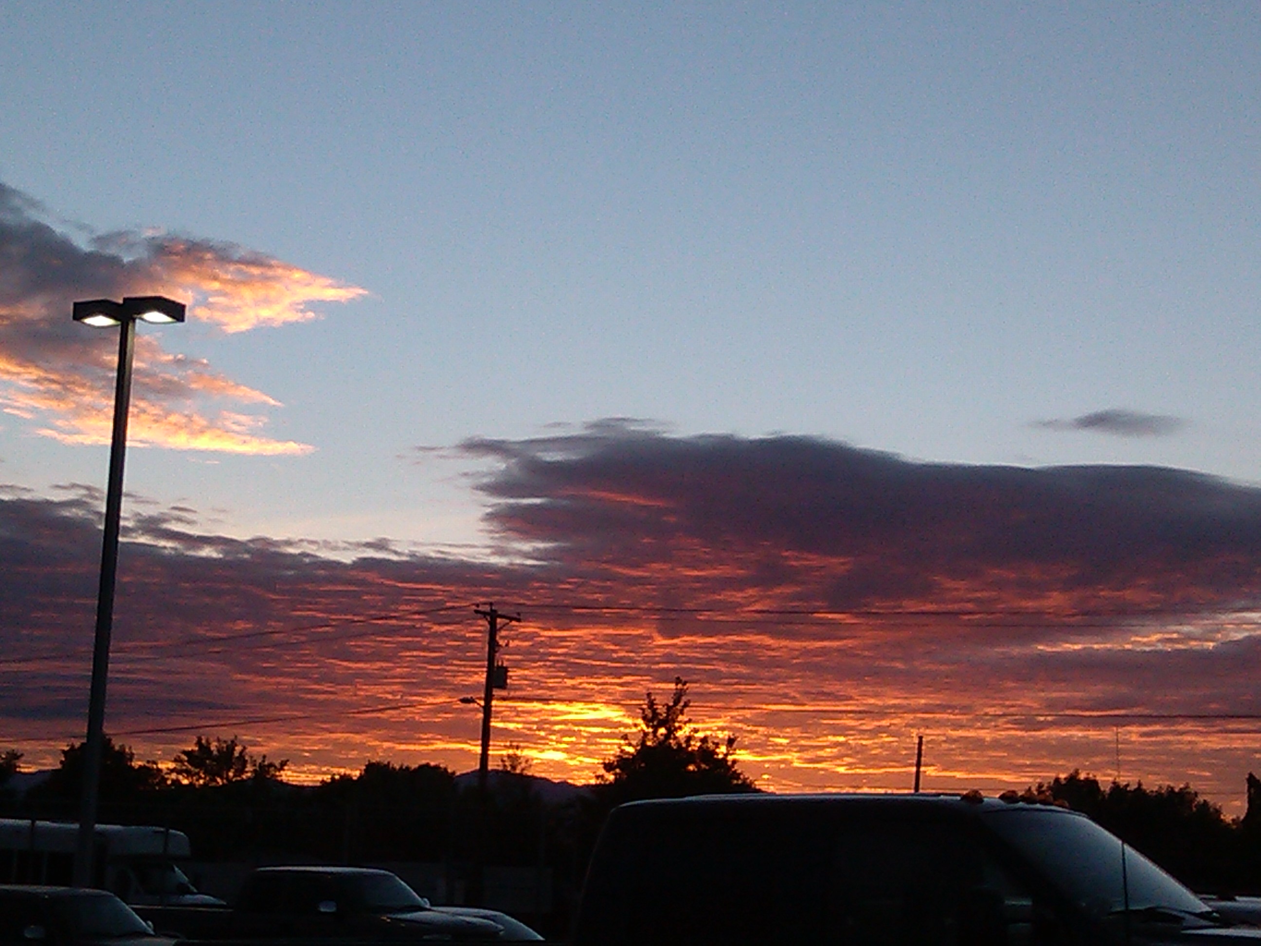 IMG_20130625_055609.jpg