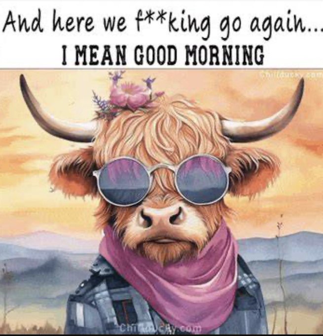 good morning.jpeg