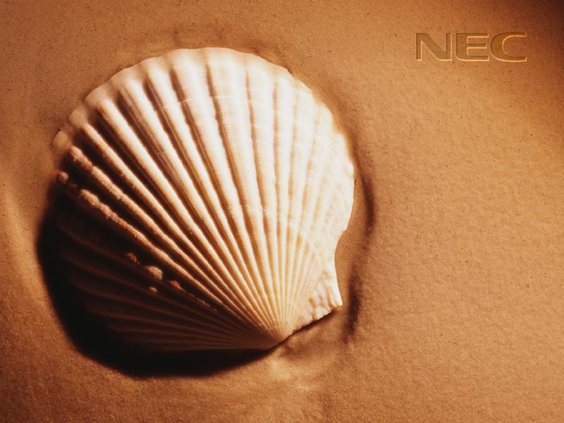 nec11.jpg